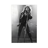 FKBALCZ Tina Turner Live in Concert Performance-Poster, 