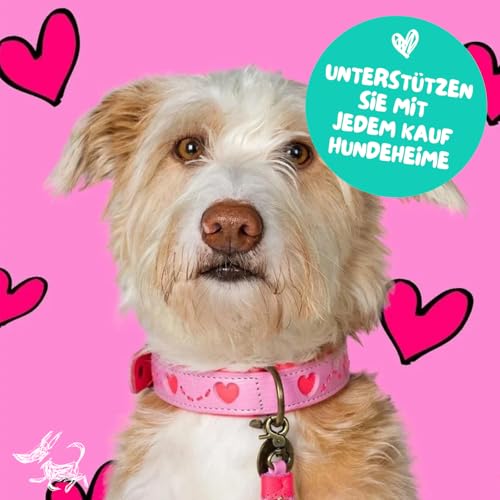 DWAM Dog with a Mission – Hundehalsband - Verstellbar - Weichem Leder – Rosa – L – Leder – Halsumfang zwischen 38–47 x 2,5 cm – Sweety