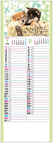 トーダン 2022年 カレンダー 壁掛け こいぬ TD-997