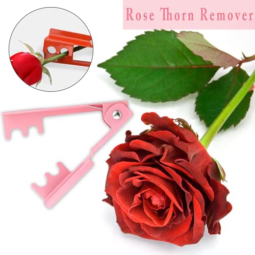 Set de 6 herramientas para eliminar espinas de rosas miniatura 3