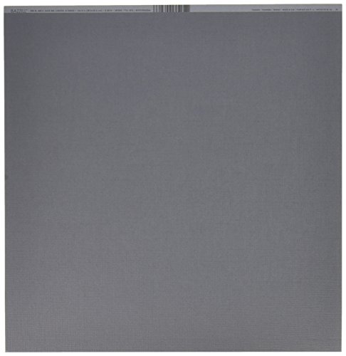 Bazzill キャンバス テクスチャ― カードストック Mono - 12 x 12 - Thunder 309245