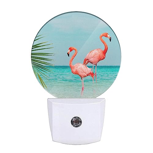 Image of EKOBLA Tropical Flamingo Palm Leaf Night Light, Summer Beach Night Lights Plug Into Wall with Dusk to Dawn Sensor for Men Women Boys Girls Gifts