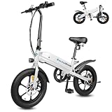 ZoulaGlide Bicicleta Electrica Plegable Adulto, Bici Electrica 16''×3.0'' Fat Tire, Batería Extraíble, 45km Autonomía, Pantalla LCD, Frenos Disco Doble, Asiento Ajustable (Blanco)