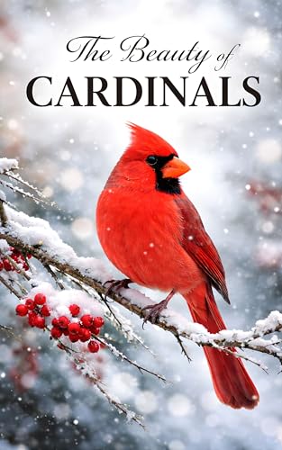 The Beauty of Cardinals: A Full Color Cardinal Photobook Designed for Seniors wi