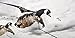 DEADLY DECOYS® Duck and Goose Flyer Decoys -1 Decoy