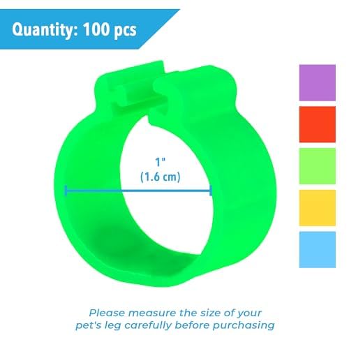 JOR Faixas de perna de frango, faixas de plástico numeradas e multicoloridas para patos, perus, páss