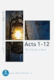 Acts: The Church is Born (Good Book Guides)