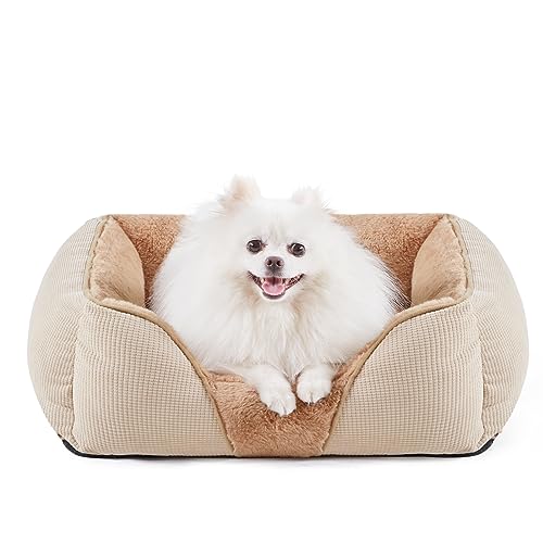 ZINN Hundebett Rund, 70 Cm - Weiches Donut-Bett Mit Pelz Für Große Hunde