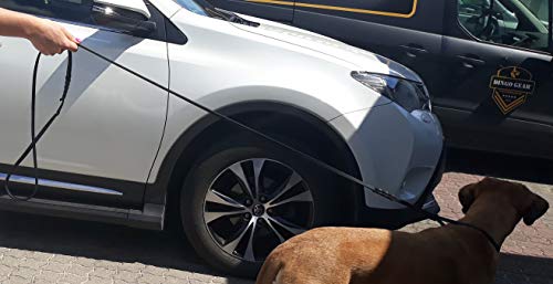 Dingo 10783 Ausstellungsleine aus weichem Leder mit geflochtenem Griff, handgefertigt, Schwarz