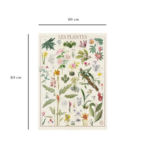 Puzzle 1500 pièces : Muséum National D'Histoire Naturelle : Les Fleurs Ravensburger Nathan - vue 5