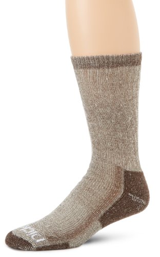 Dickies Men's 1-Pack Steel Toe Merino Wool Arch Compression Crew Socks