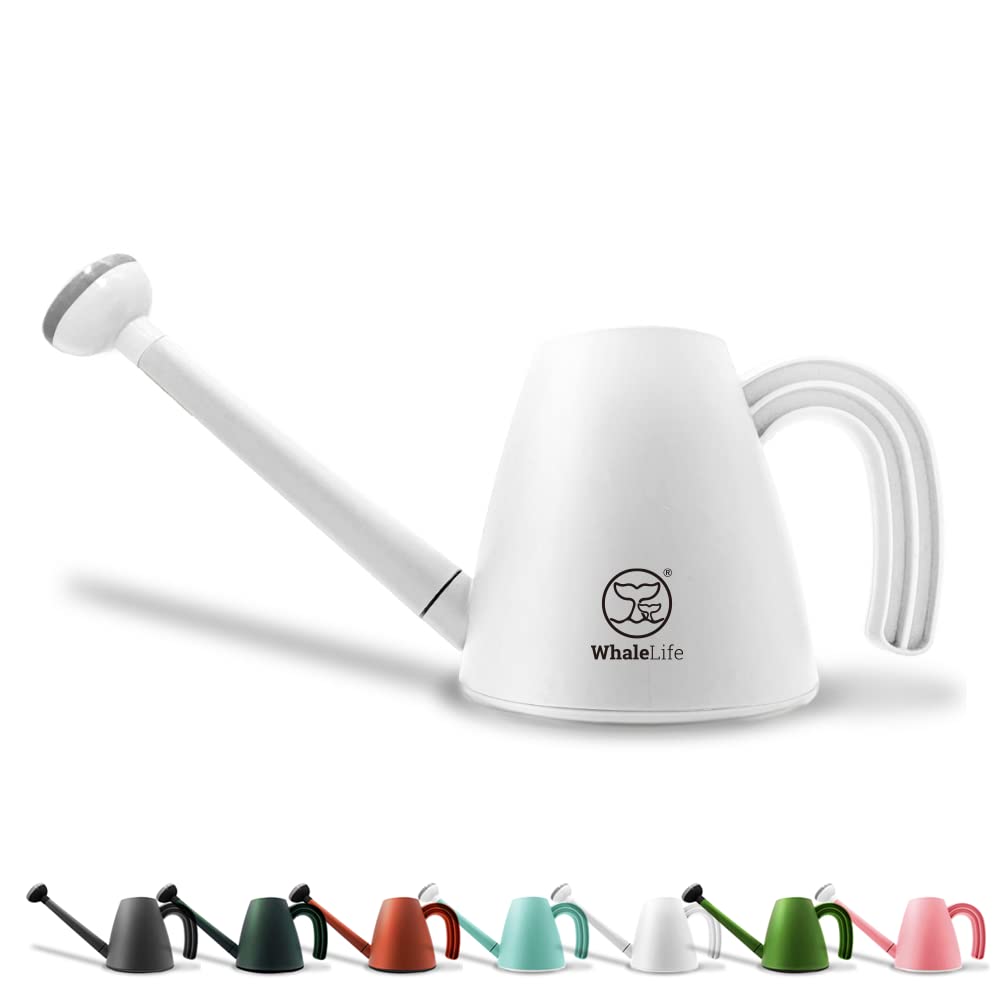 Amazon.com : WhaleLife Indoor Watering Can for House Bonsai Plants (2.0L,  White) : Patio, Lawn & Garden