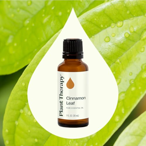 Aceite esencial de hoja de canela 30 mL 100% puro miniatura 3