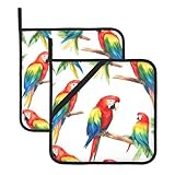 L'ensemble de 2 tapis de cuisine isolés carrés YYHHAOFA Parrot Collection est fabriqué à partir de tissu polyester imperméable de haute qualité et d'un matériau anti-brûlure, assurant une durabilité exceptionnelle et une isolation thermique pour une manipulation sûre des casseroles et couvercles chauds dans la cuisine, ce qui le rend parfait pour un usage quotidien avec micro-ondes, fours et grillades en plein air.
