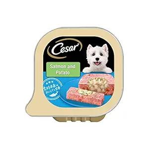 Cesar Wet Food for Adult Dogs, Salmon & Potato Flavour, 6 Trays (6x100g)