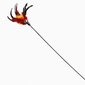 Pets Empire Cat Stick Cat Interactive Stick with Bells Feather Wand for Cat Teaser Catcher Exercise Playing Fun Toys Pet Supplies Play with Cat -( Color & Pattern May Vary ) (Plastic Wand Stick)