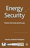 Energy Security: Visions from Asia and Europe