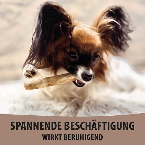 Kaffeeholz Kaustab für Hunde – 100 % natürlich & nachhaltig | Fördert Zahngesundheit & reduziert Zahnstein | Splitterarmes, langlebiges Kauspielzeug für kleine, mittlere & große Hunde (L)