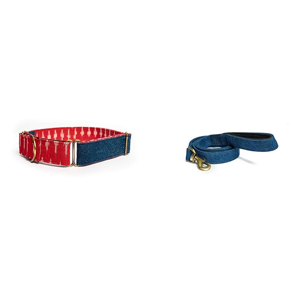 PetWale Blue Denim Dog Martingale Collar - (Size : Large) & PetWale Dog Leash with Padded Handle for Walking Running Training, Comfortable Heavy Duty Blue Denim (Blue, L: 5 feet, W: 0.98") (B0CDDQ9FYL) Amazon Price History, Amazon Price Tracker
