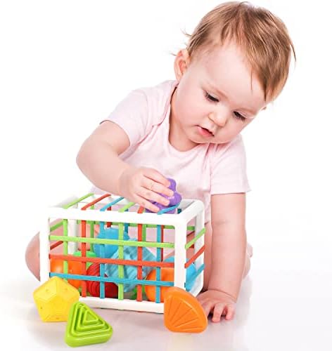 Tiyol Shape Sorter One Year Old Toys, Developmental Montessori Learning, Storage Cube Bin & 6 Sensory Shape Blocks, Fine Motor Skills, Birthday Gifts Toddler Boy Girl Age 1 2 3 (+6 Ocean Balls)