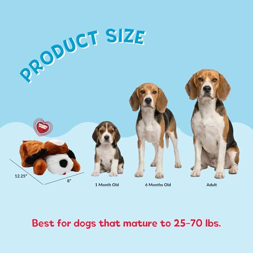 Image of Snuggle Puppy Heartbeat Dog Toy for Puppies, Real-Feel Heartbeat, Calming Sleep Aid and Crate Training Comfort Toy with Heat Pack, Brown & White Beagle | Calming heartbeat toy, crate training comfort, heat pack, new puppy essentials, first nights, sleep, medium breeds 25-70 lbs