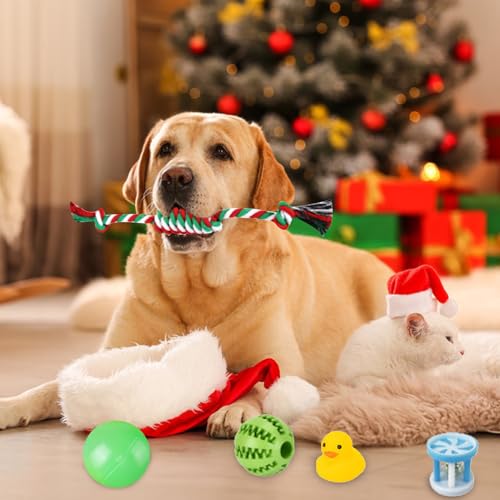Hunde Adventskalender 2024, Adventskalender für Hunde mit 24 Hundespielzeug Weihnachten, Dog Advent Calendar mit Bällen, Federspielzeug und Glocken, 24 Tage Überraschungen für Hundeliebhaber (24 PCS)