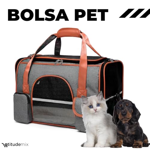 Bolsa Pet Transporte Viagem Mala Avião Luxo Cães E Gatos (preto)