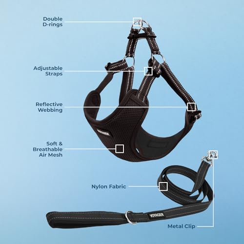 Image of Best Pet Supplies Voyager Adjustable Step-in Flex Breathable Mesh Dog Harness for Small Medium Large Dogs Leash Set (Black), XS