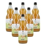 Pack 6 x Vinagre de manzana ECO crudo sin filtrar con la madre Planeta Huerto 1L