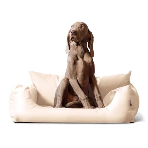 TRIXIE Welpentoilette Nappy Loo 6 tierlando NEMO Hundebett Hundesofa S M L Hundekorb Katzenbett 65 80 100cm Größe: N2 | Farbe: 05 Creme