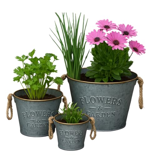 Trendi Galvanized Metal Flower Pots with Rope Handles – Set of 3 Rustic Planters for Indoor & Outdoor Use | Vintage Flowers & Garden Embossed Tin Buckets | Decorative Rustic Planters