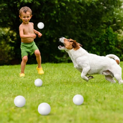 Hanaive 100 Pack Table Tennis Balls Multi Colored 40mm Plastic Balls Bulk Washable Small Game for Carnival Pool Games, Party Decoration Pet Toy(White) by Hanaive - Image 6