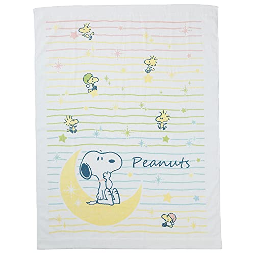 西川 スヌーピー 毛布の人気商品 通販 価格比較 価格 Com