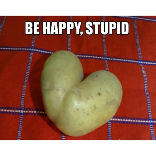 Be Happy, Stupid Audiolibro Por Scott Evans arte de portada