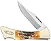 Case Bonestag Mako Pocket Knife