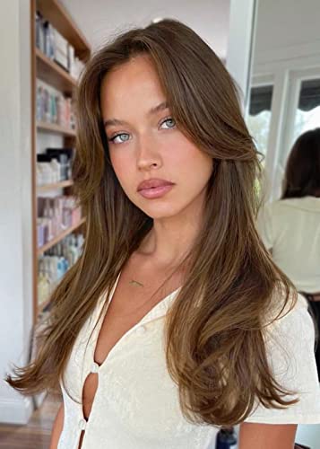 AISI HAIR Light Brown Wigs for Women Long Brown Wavy Wig Synthetic Layered Wig for Daily