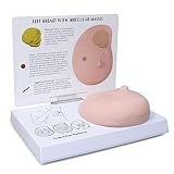 Breast Model | Human Body Anatomy Replica of Breast w/Irregular Masses for Doctors Office Educationa