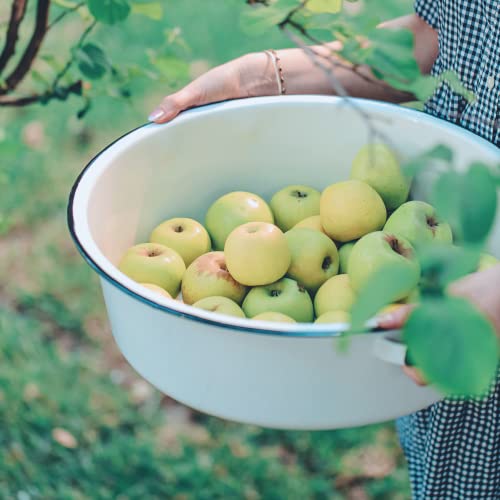 Granite Ware 322058 Stackable, Multi Use Bowls - Enameled Steel Dish Pan Set thumb #3