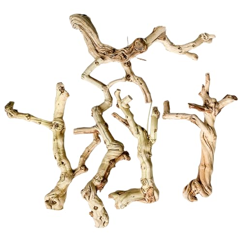 Grotte en bois flotté naturel pour reptiles pour lézards - Tronc réaliste pour lézards - Décoration en bois flotté - Petite taille