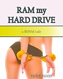 Ram my Hard Drive: A BDSM Tale