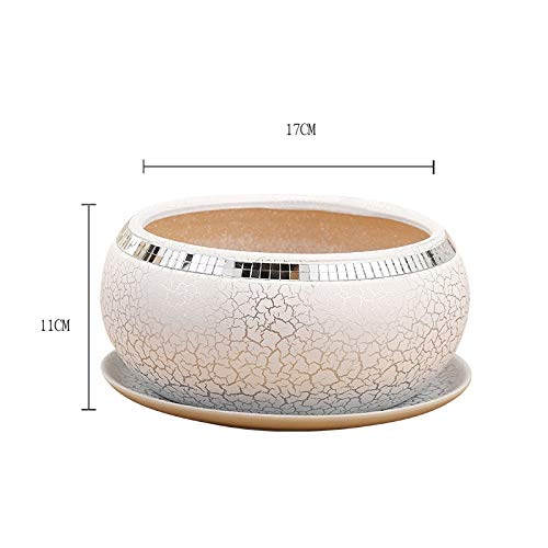 Pot de fleurs en céramique blanche texturée pour plantes et cactus d'intérieur - 4
