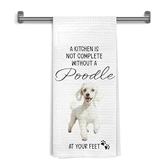 White-poodle