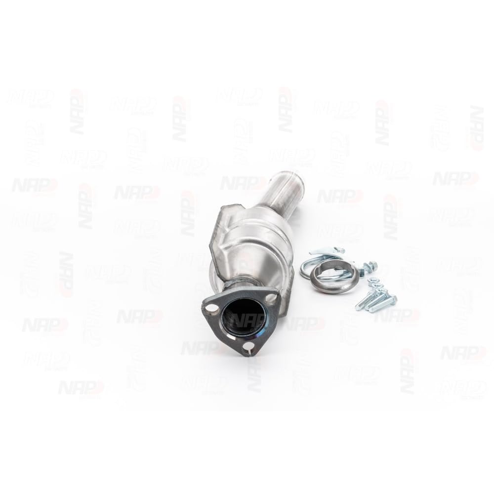 Catalizzatore CAK10043 560mm 2,4kg