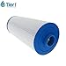 Tier1 Spa Filter Cartridge Replacement for Jacuzzi J300 & J400 | Compatible with 6541-383, PJW60TL-OT-F2S, 6CH-961 | Trilobal Dirt-Lock Fabric | Washable & Reusable | High Flow Hot Tub Filter