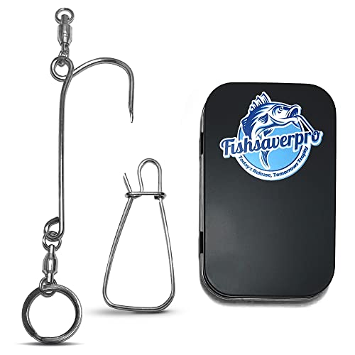 Our Best fish venting tool Top 20 Model Reveled! Maine Innkeepers