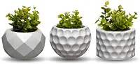 Kit 3 Vasos Decorativos com Plantas Artificiais para Sala, Quarto, Banheiro e Lavabo – Decoração