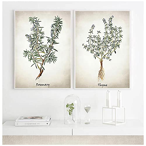 Illustrations à base de plantes pour habiller un grand mur vide de cuisine