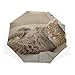 Ombrelli da viaggio per uomo Lazy Fun Baby Cat Comfort Animal 3 Fold Art Umbrellas (stampa esterna） Ombrellone grande Ombrellone Protezione solare Ombrello da viaggio