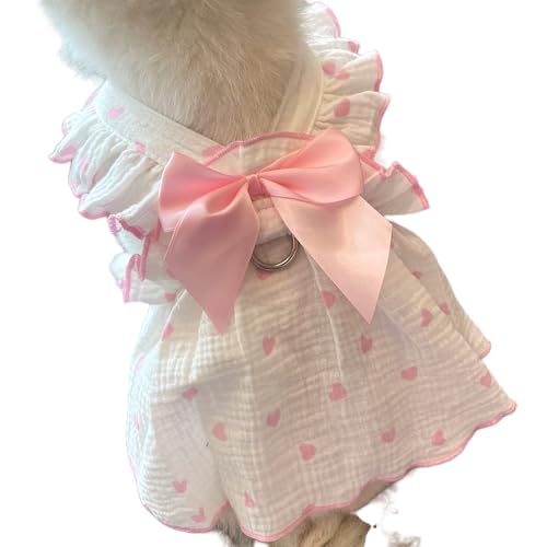  s[X t ʋC Pl hX XJ[g Ȃ  y L ybg ̕ L̕ ^ ^ m (ۂ)