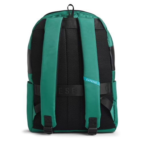Image of Caprese Jupiter 20L Laptop Backpack Large | Stylish Color Block Business Bag | 3 Compartments with Padded Laptop Sleeve | Front & Side Pockets | Spacious & Durable Travel Backpack for Women